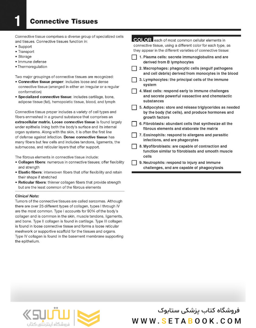 The Netter’s Anatomy Coloring Book, 2th edition