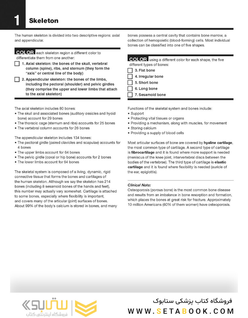 The Netter’s Anatomy Coloring Book, 2th edition