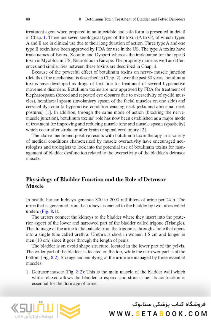 Botulinum Toxin Treatment: What Everyone Should Know