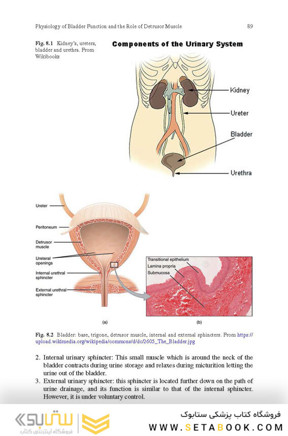 Botulinum Toxin Treatment: What Everyone Should Know