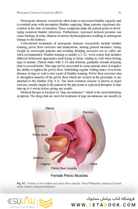 Botulinum Toxin Treatment: What Everyone Should Know