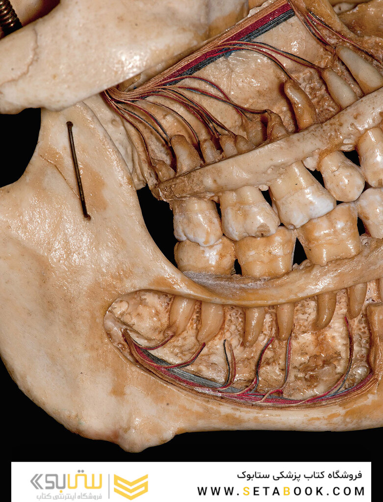Clinical Photography in Dentistry 1st Edition 2019