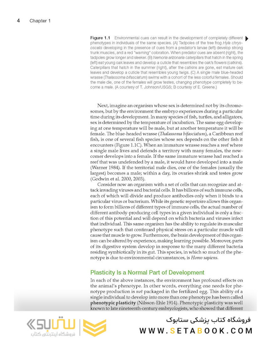 Ecological Developmental Biology 2nd Edition 2016