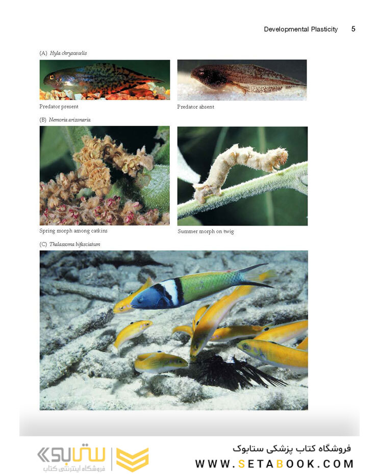 Ecological Developmental Biology 2nd Edition 2016