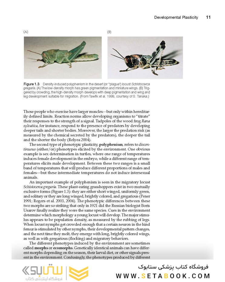 Ecological Developmental Biology 2nd Edition 2016