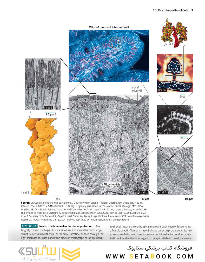 Karp’s Cell and Molecular Biology 9th Edition