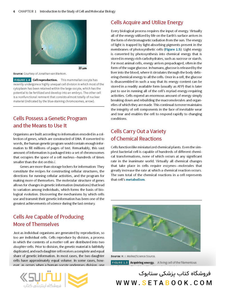 Karp’s Cell and Molecular Biology 9th Edition