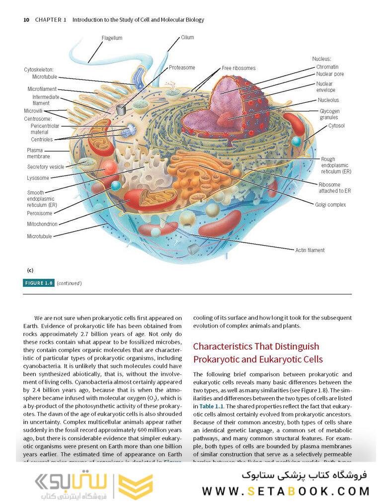 Karp’s Cell and Molecular Biology 9th Edition