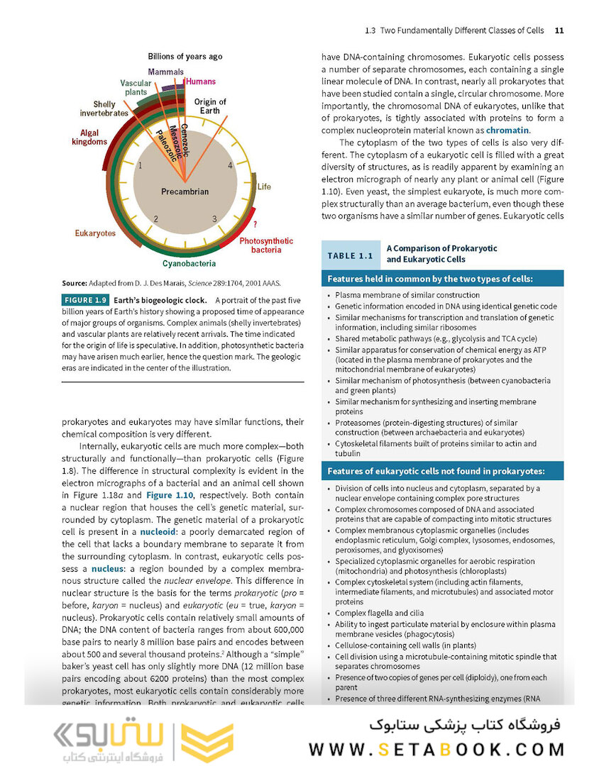 Karp’s Cell and Molecular Biology 9th Edition