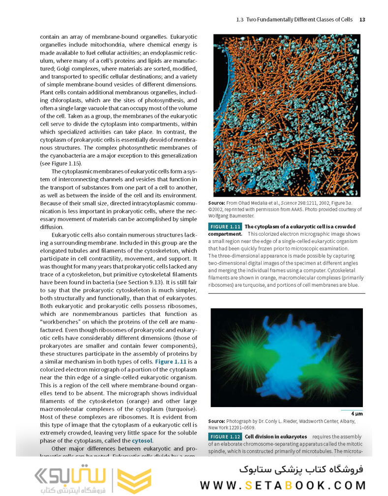 Karp’s Cell and Molecular Biology 9th Edition