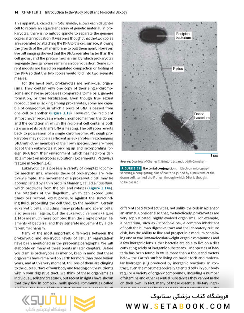 Karp’s Cell and Molecular Biology 9th Edition