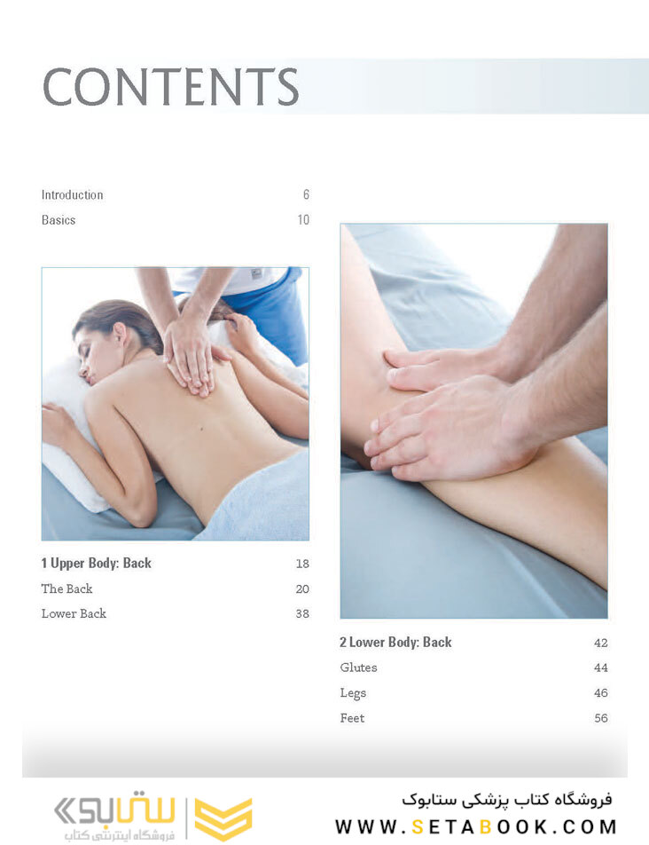 Massage Anatomy a Comprehensive Guide2009