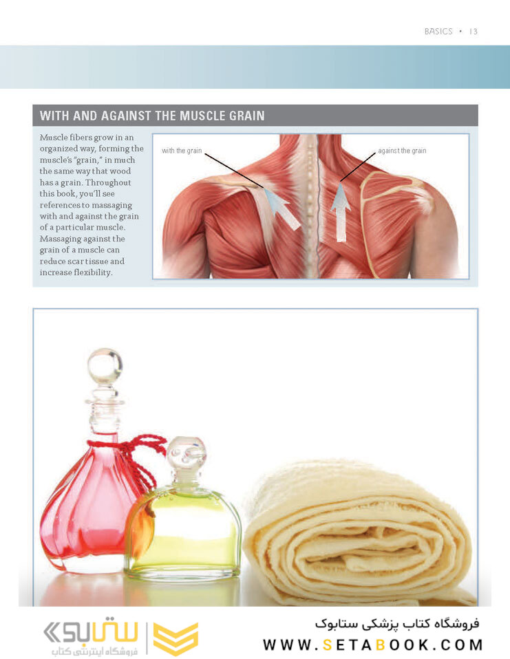 Massage Anatomy a Comprehensive Guide2009