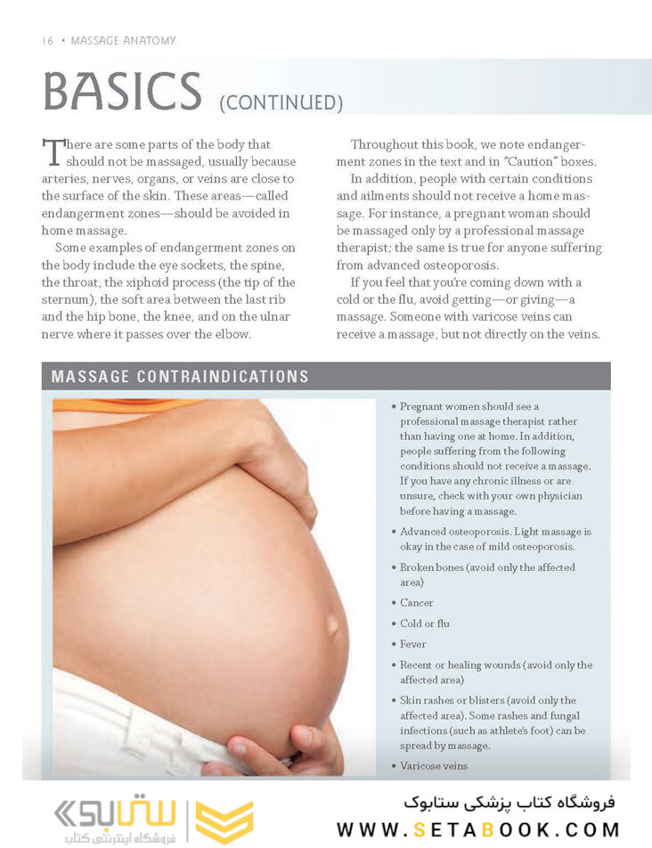 Massage Anatomy a Comprehensive Guide2009