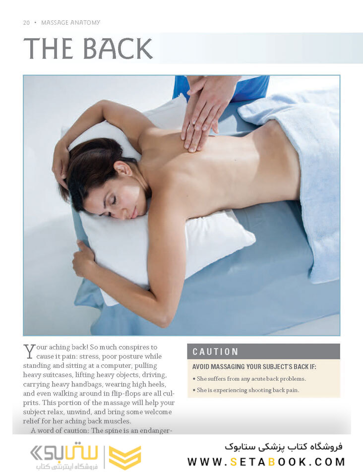 Massage Anatomy a Comprehensive Guide2009