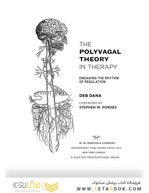 The Polyvagal Theory in Therapy, 1st Edition2018