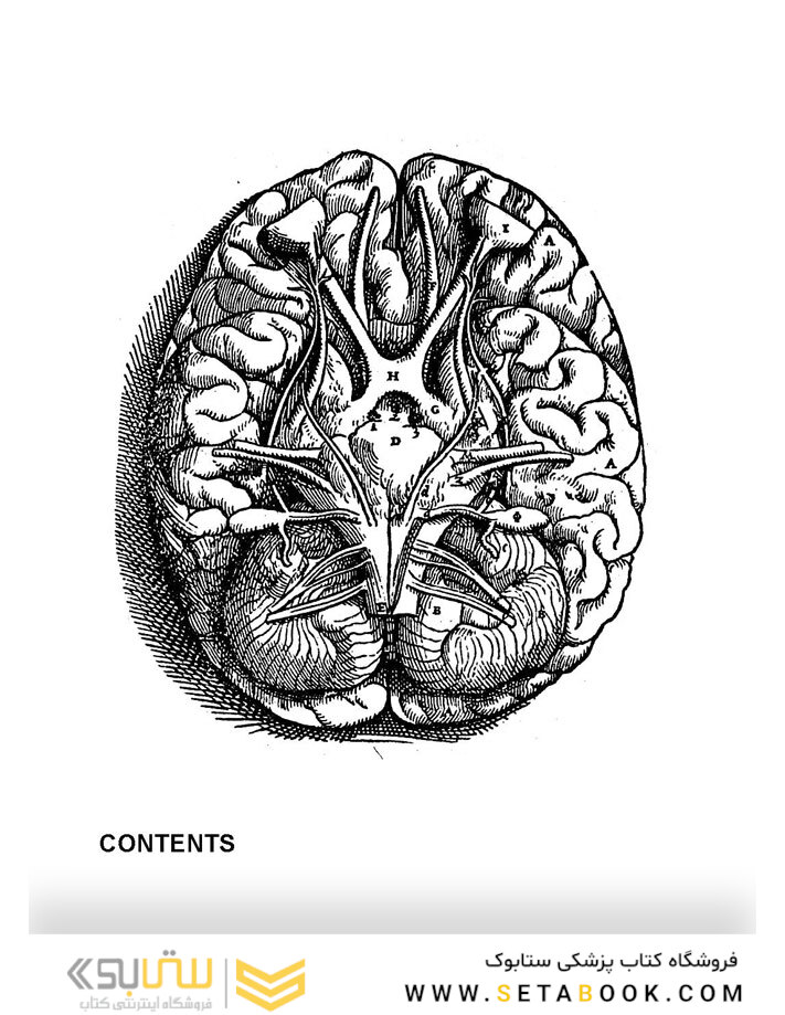 The Polyvagal Theory in Therapy, 1st Edition2018