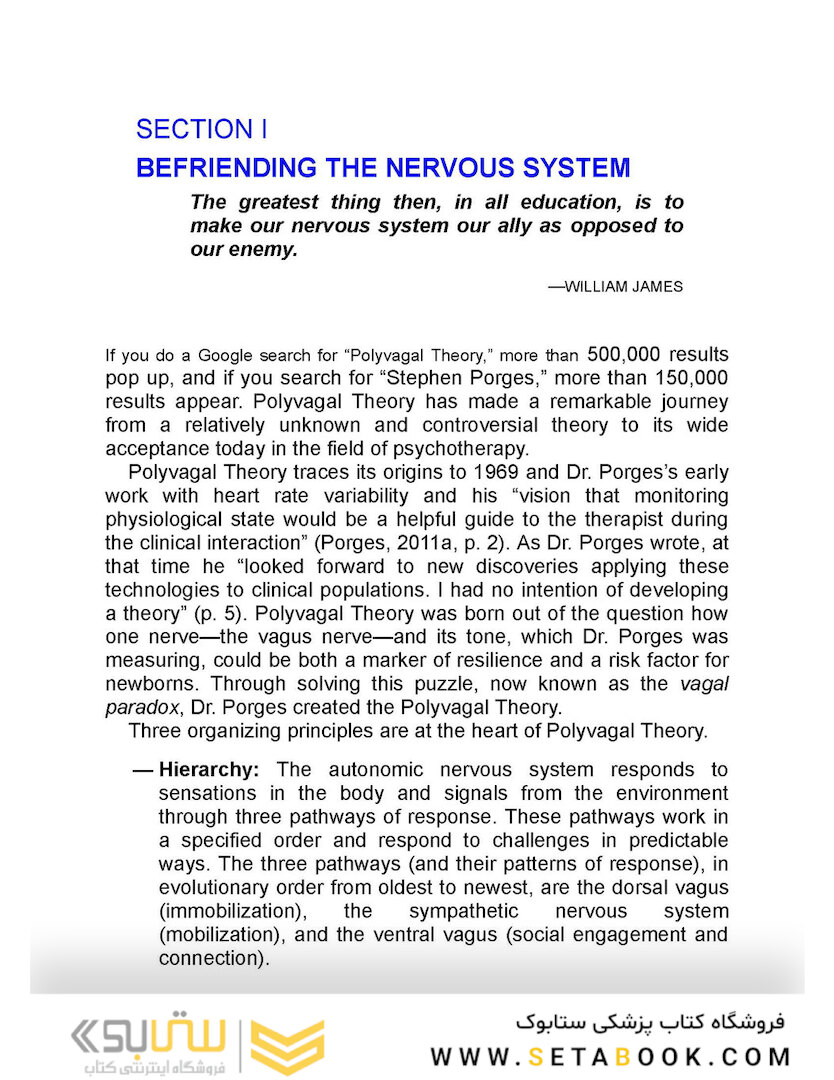 The Polyvagal Theory in Therapy, 1st Edition2018