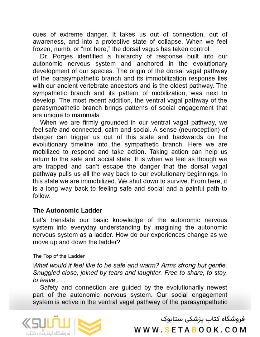 The Polyvagal Theory in Therapy, 1st Edition2018