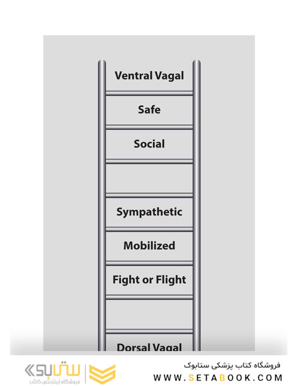 The Polyvagal Theory in Therapy, 1st Edition2018
