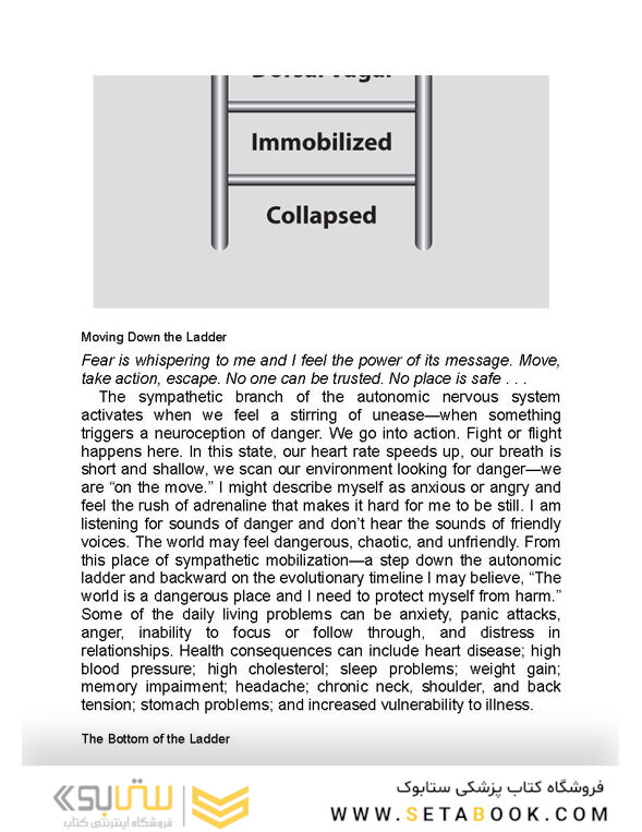 The Polyvagal Theory in Therapy, 1st Edition2018