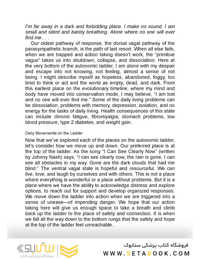 The Polyvagal Theory in Therapy, 1st Edition2018