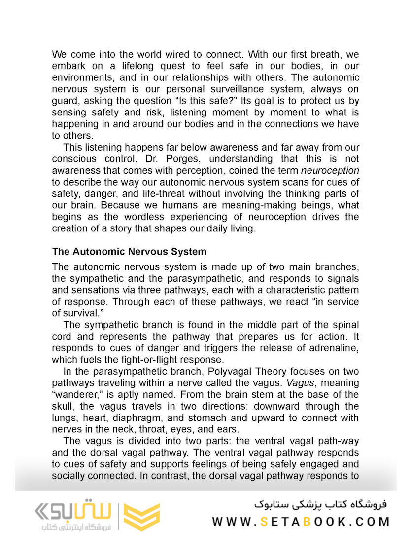 The Polyvagal Theory in Therapy, 1st Edition2018