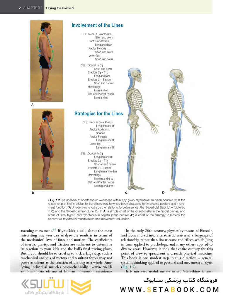 Anatomy Trains, 4th Edition 2021