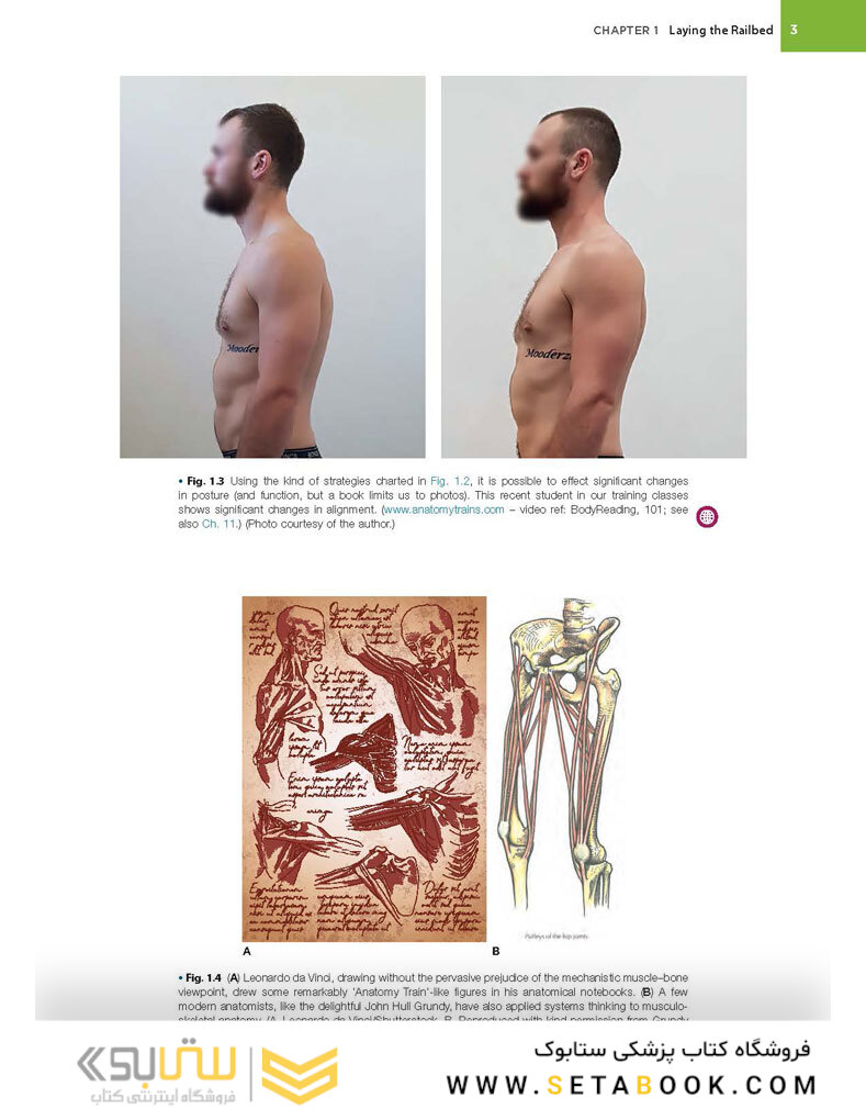 Anatomy Trains, 4th Edition 2021