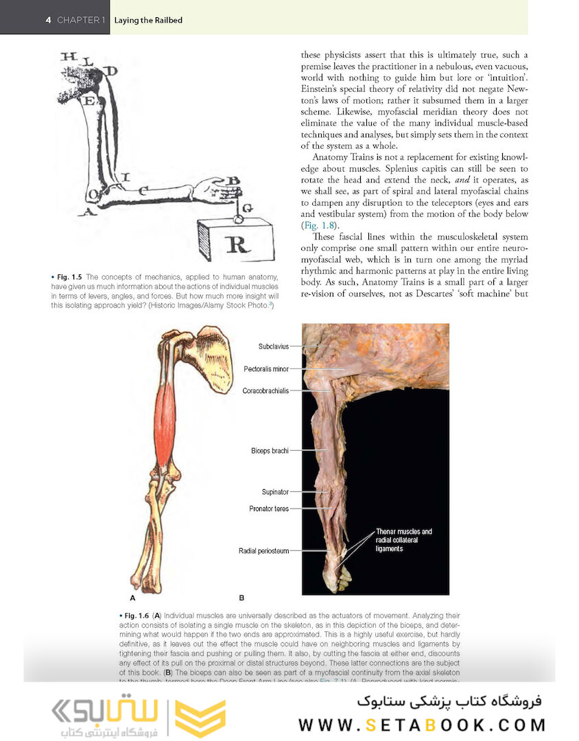 Anatomy Trains, 4th Edition 2021