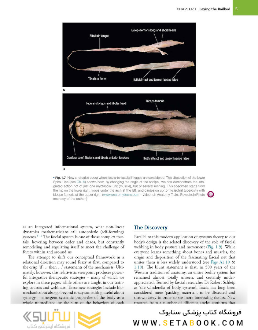 Anatomy Trains, 4th Edition 2021