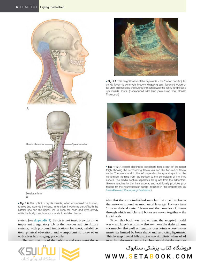 Anatomy Trains, 4th Edition 2021