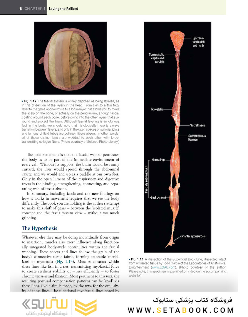 Anatomy Trains, 4th Edition 2021