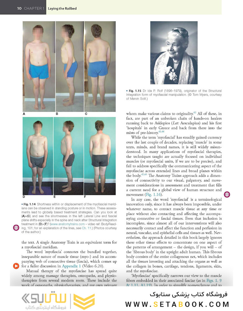 Anatomy Trains, 4th Edition 2021