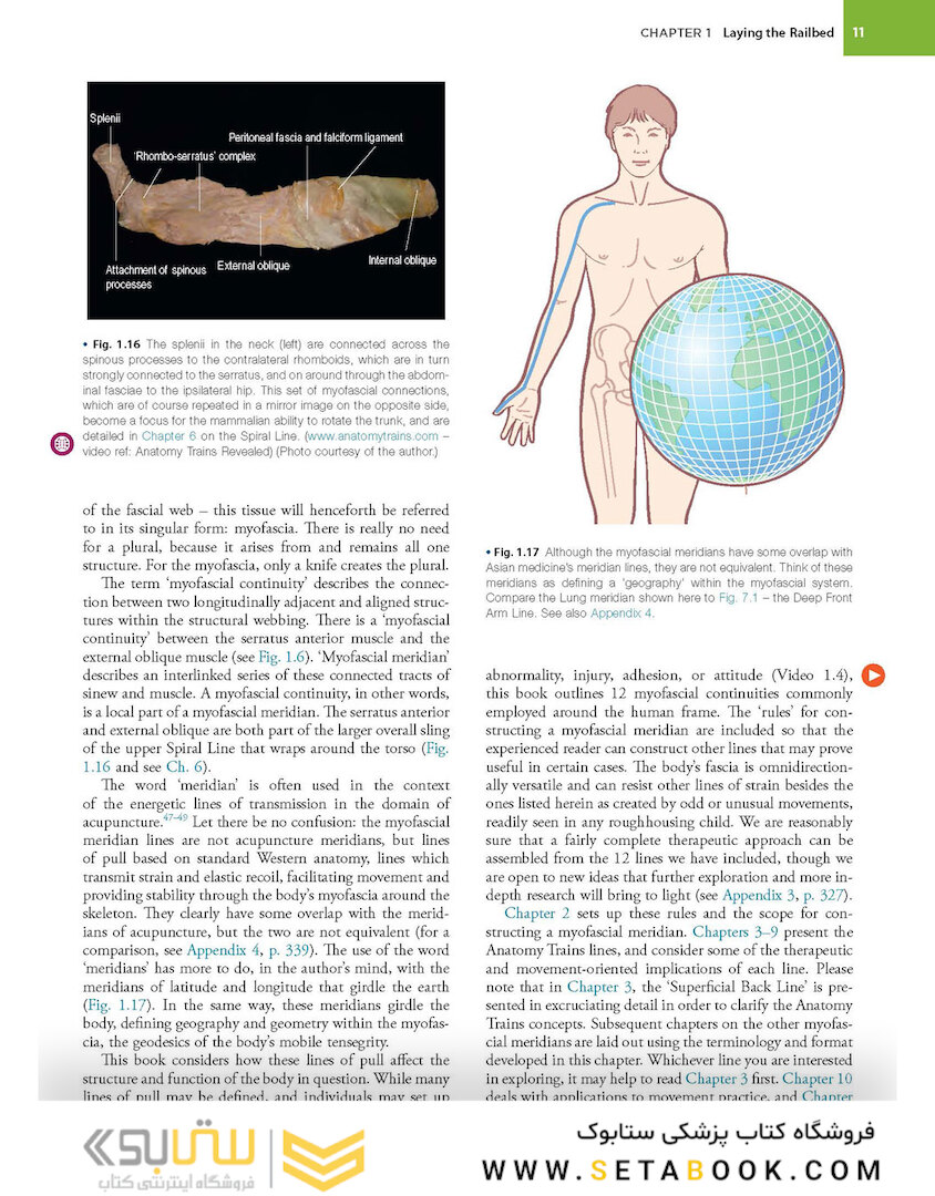 Anatomy Trains, 4th Edition 2021
