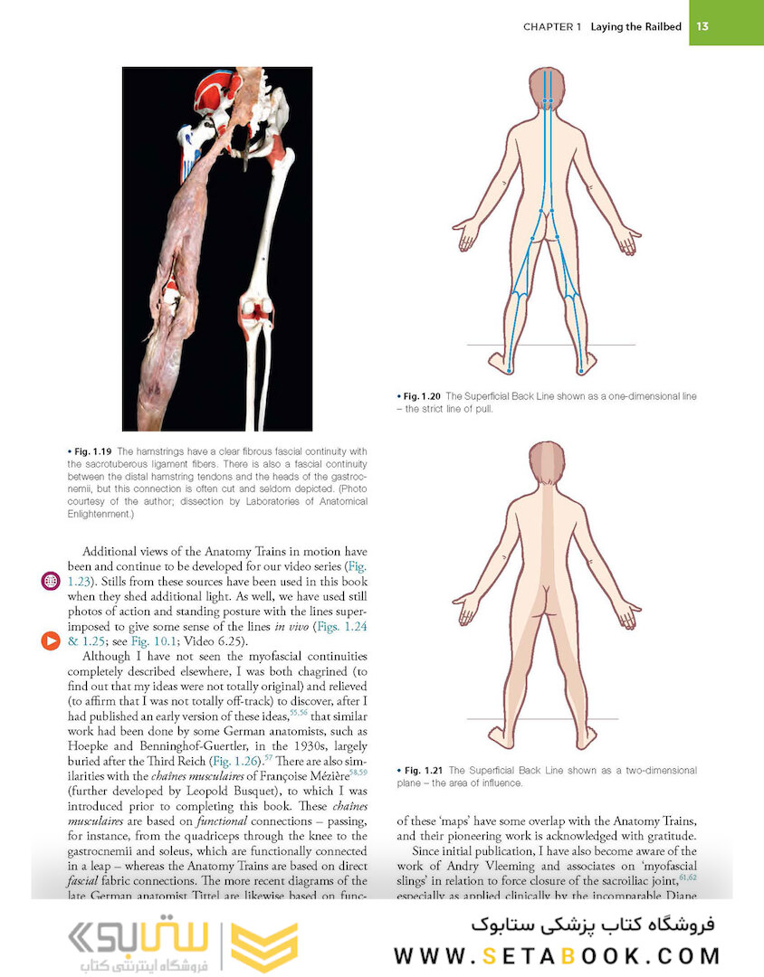 Anatomy Trains, 4th Edition 2021