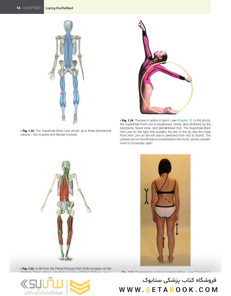 Anatomy Trains, 4th Edition 2021