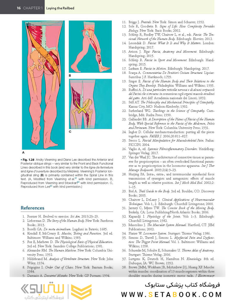 Anatomy Trains, 4th Edition 2021