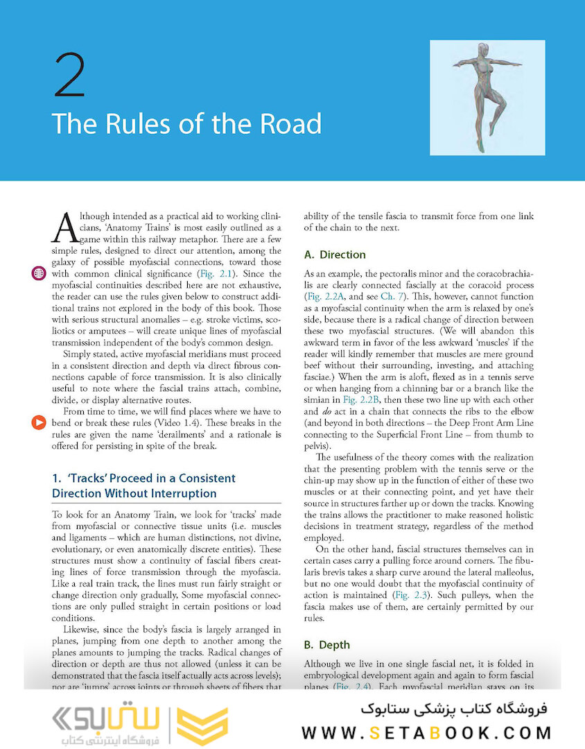 Anatomy Trains, 4th Edition 2021