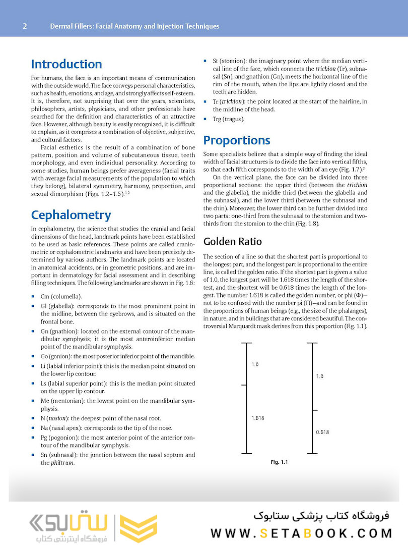 Dermal Fillers: Facial Anatomy and Injection Techniques2020