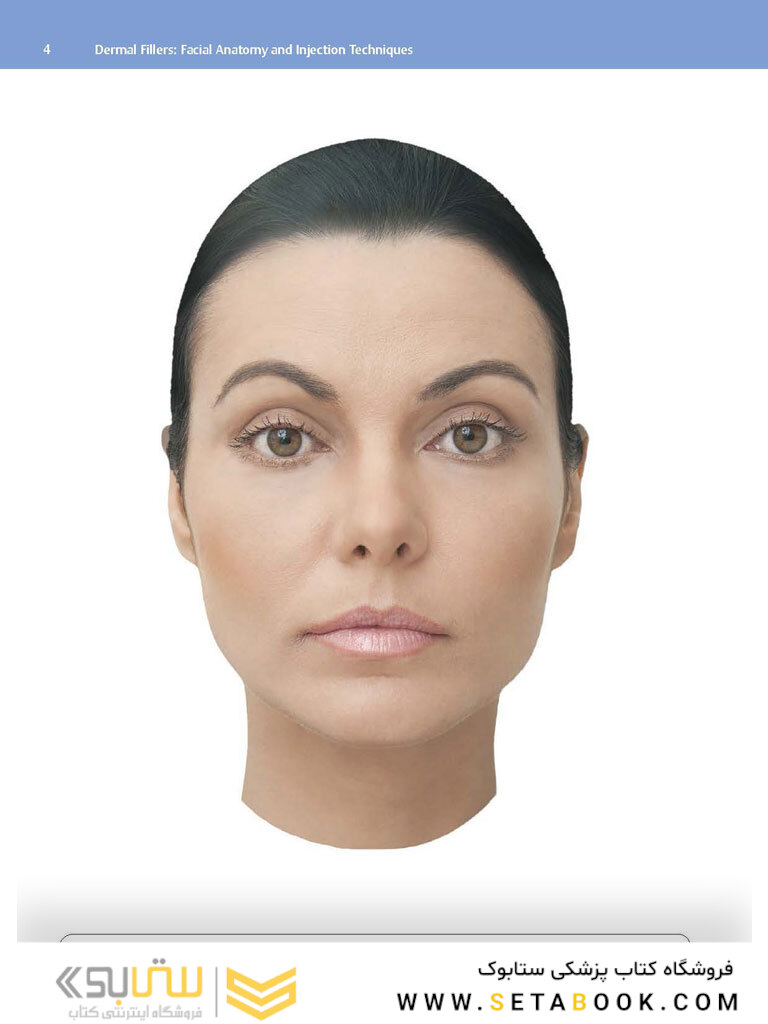 Dermal Fillers: Facial Anatomy and Injection Techniques2020