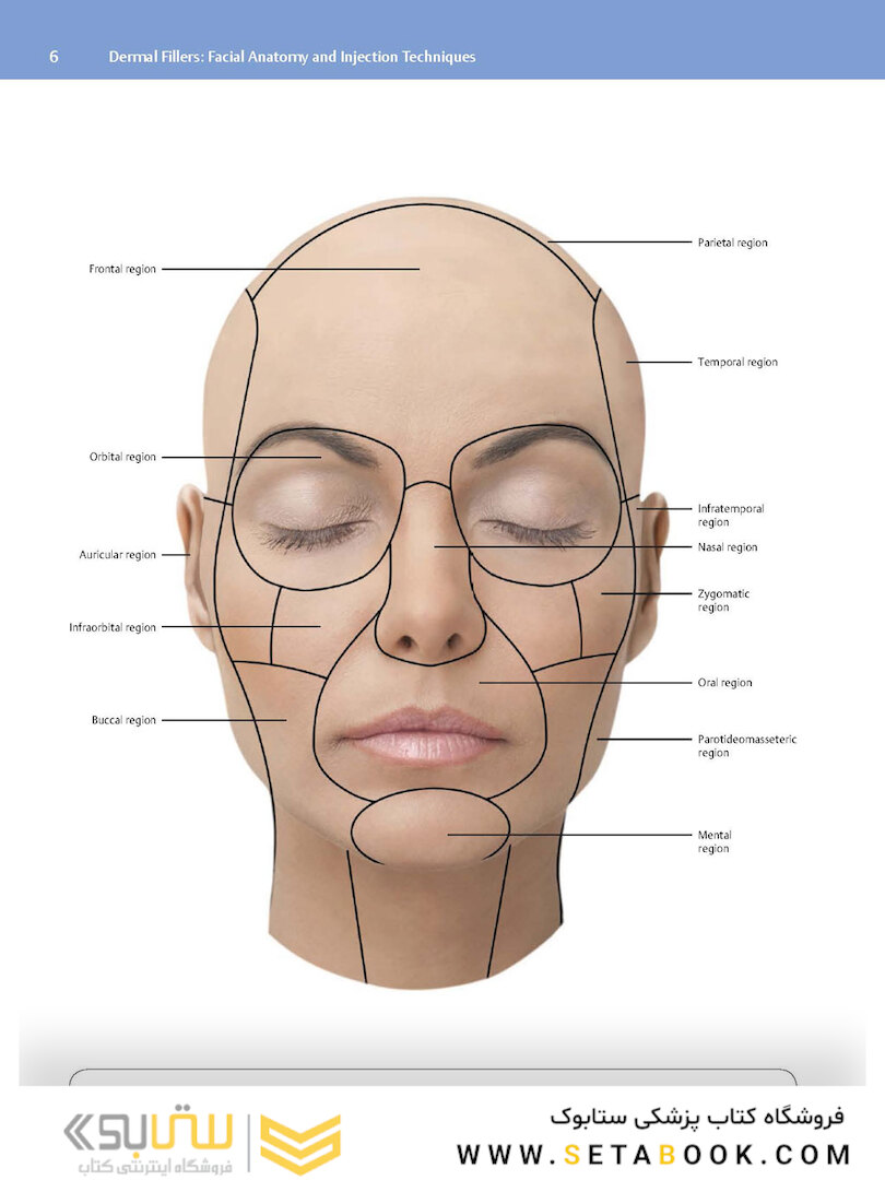 Dermal Fillers: Facial Anatomy and Injection Techniques2020
