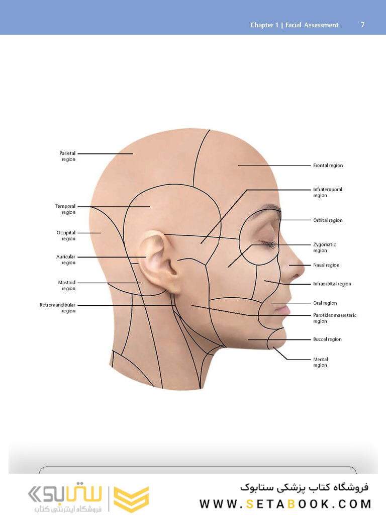 Dermal Fillers: Facial Anatomy and Injection Techniques2020