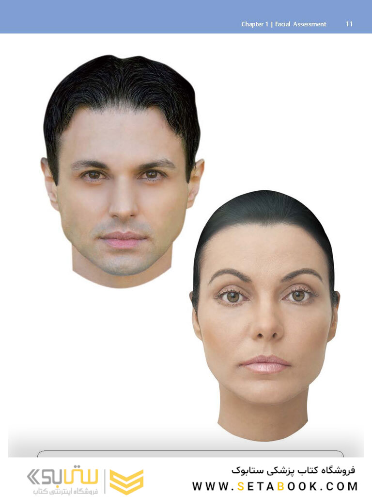 Dermal Fillers: Facial Anatomy and Injection Techniques2020