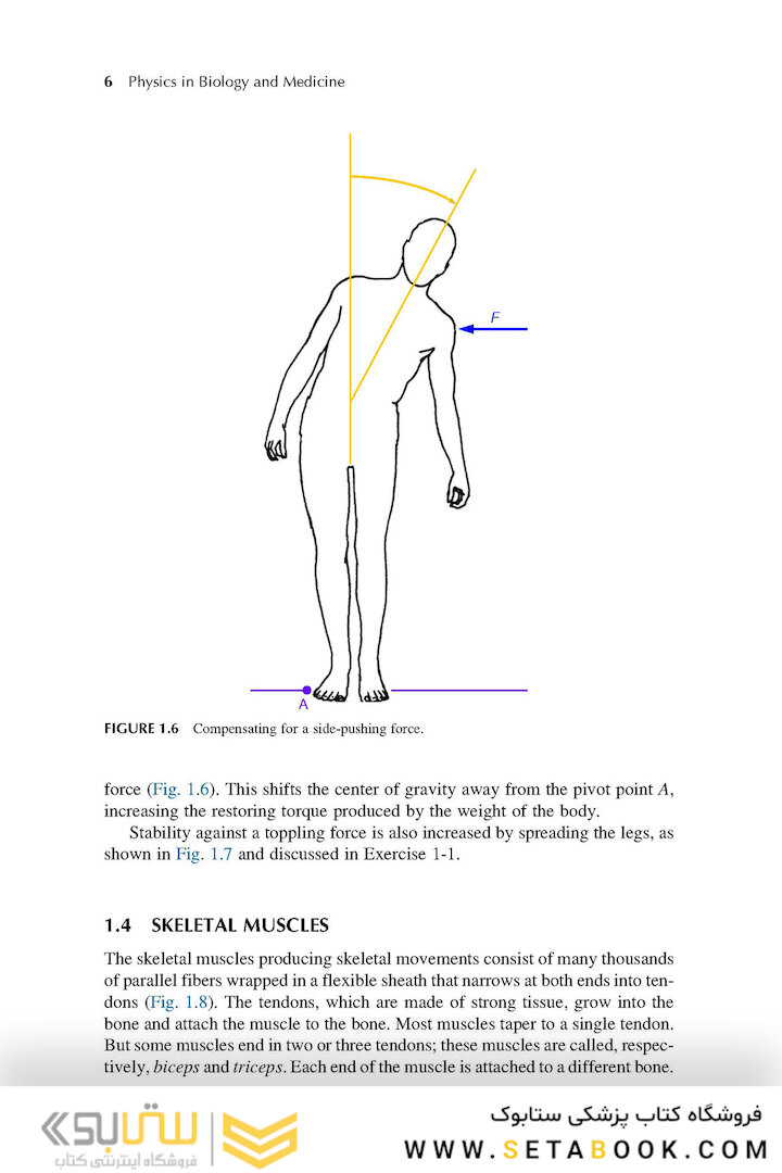 Physics in Biology and Medicine, 5th Edition 2018