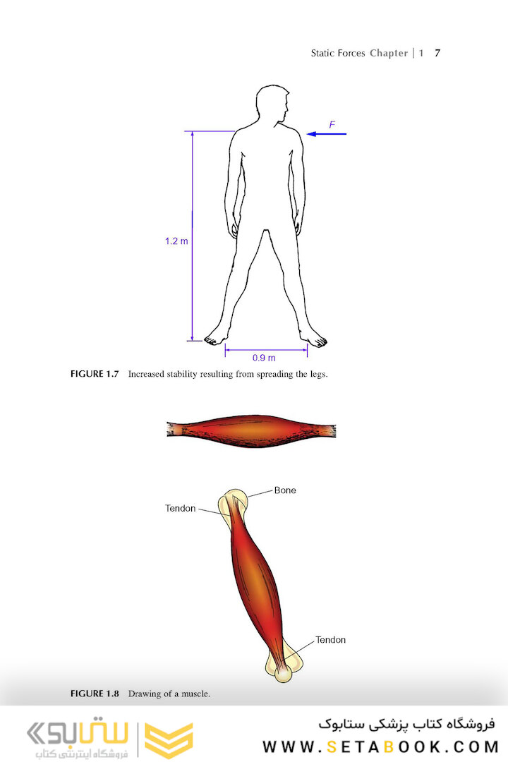 Physics in Biology and Medicine, 5th Edition 2018