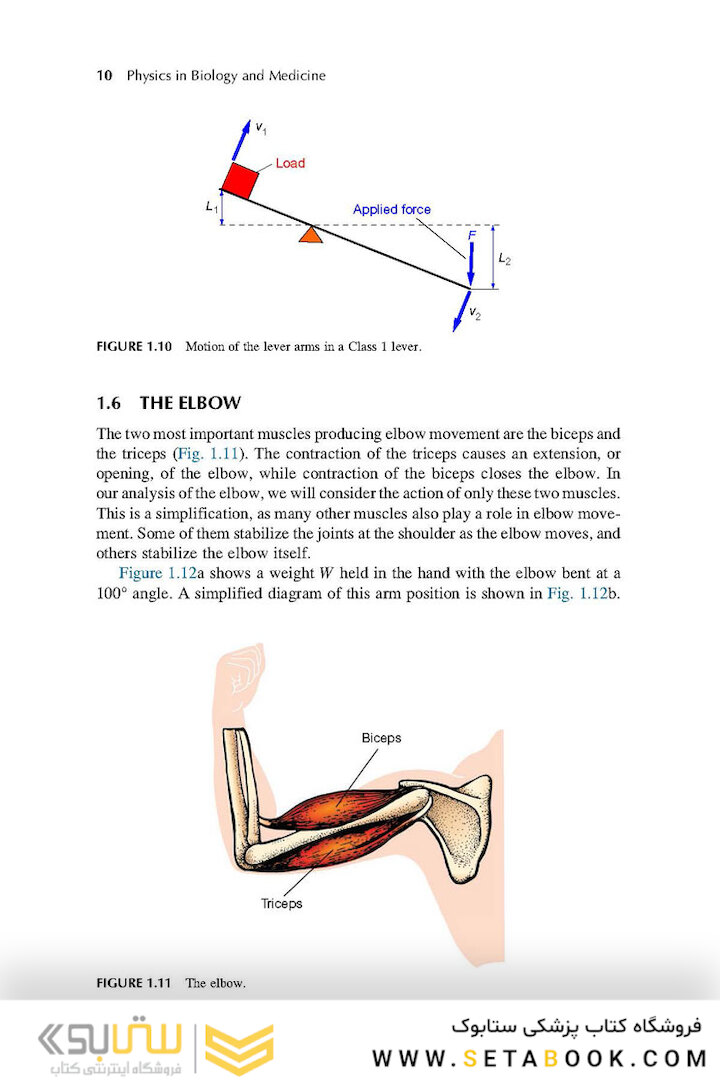Physics in Biology and Medicine, 5th Edition 2018