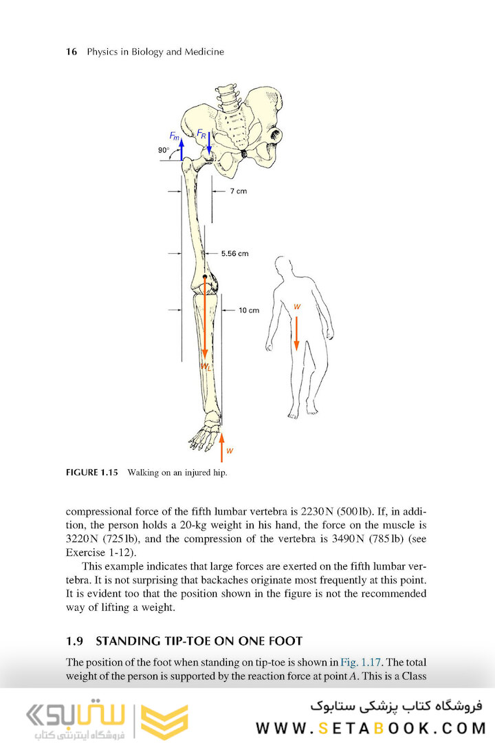 Physics in Biology and Medicine, 5th Edition 2018