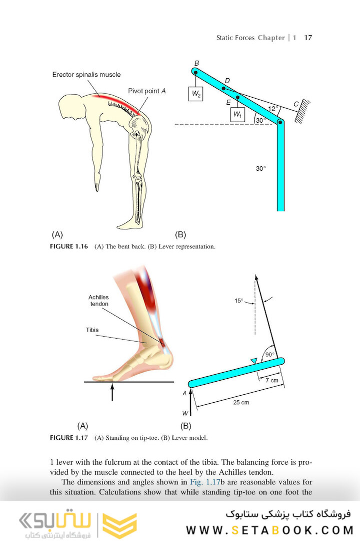Physics in Biology and Medicine, 5th Edition 2018