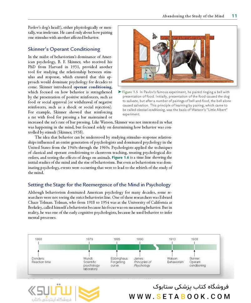 Cognitive Psychology: Connecting Mind, Research, and Everyday Experience 5th Edition 209
